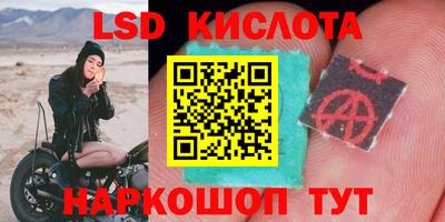 таблы Будённовск