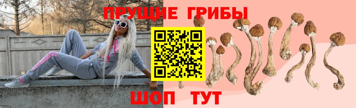 Галлюциногенные грибы Cubensis Валуйки